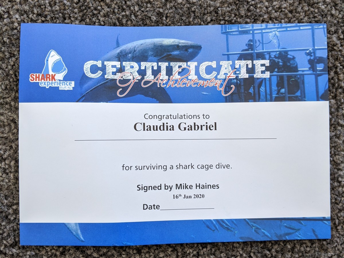 Cage diving with Great Whites – Is it all it’s cracked up to&nbsp;be?