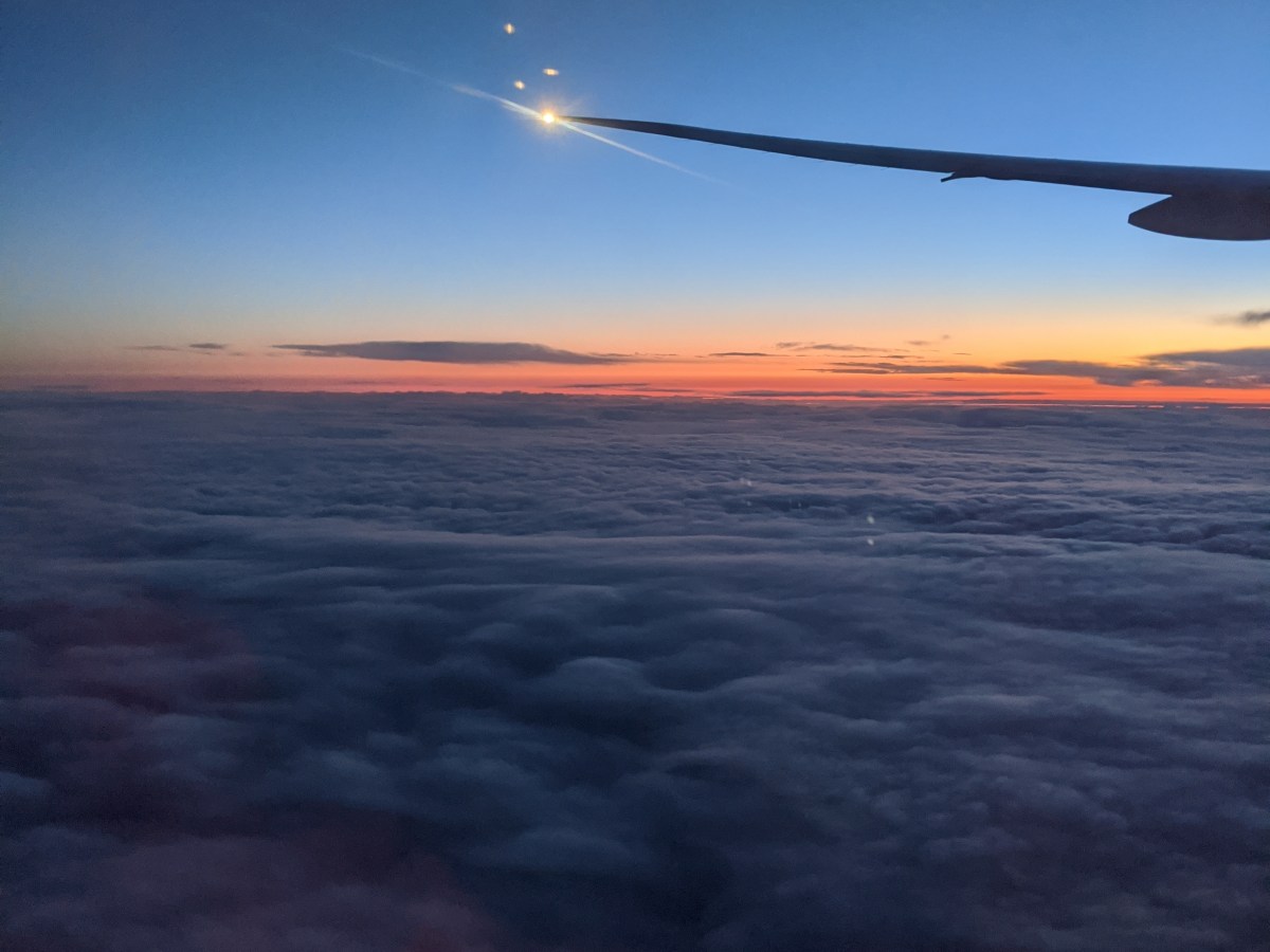 Settling into a new&nbsp;reality